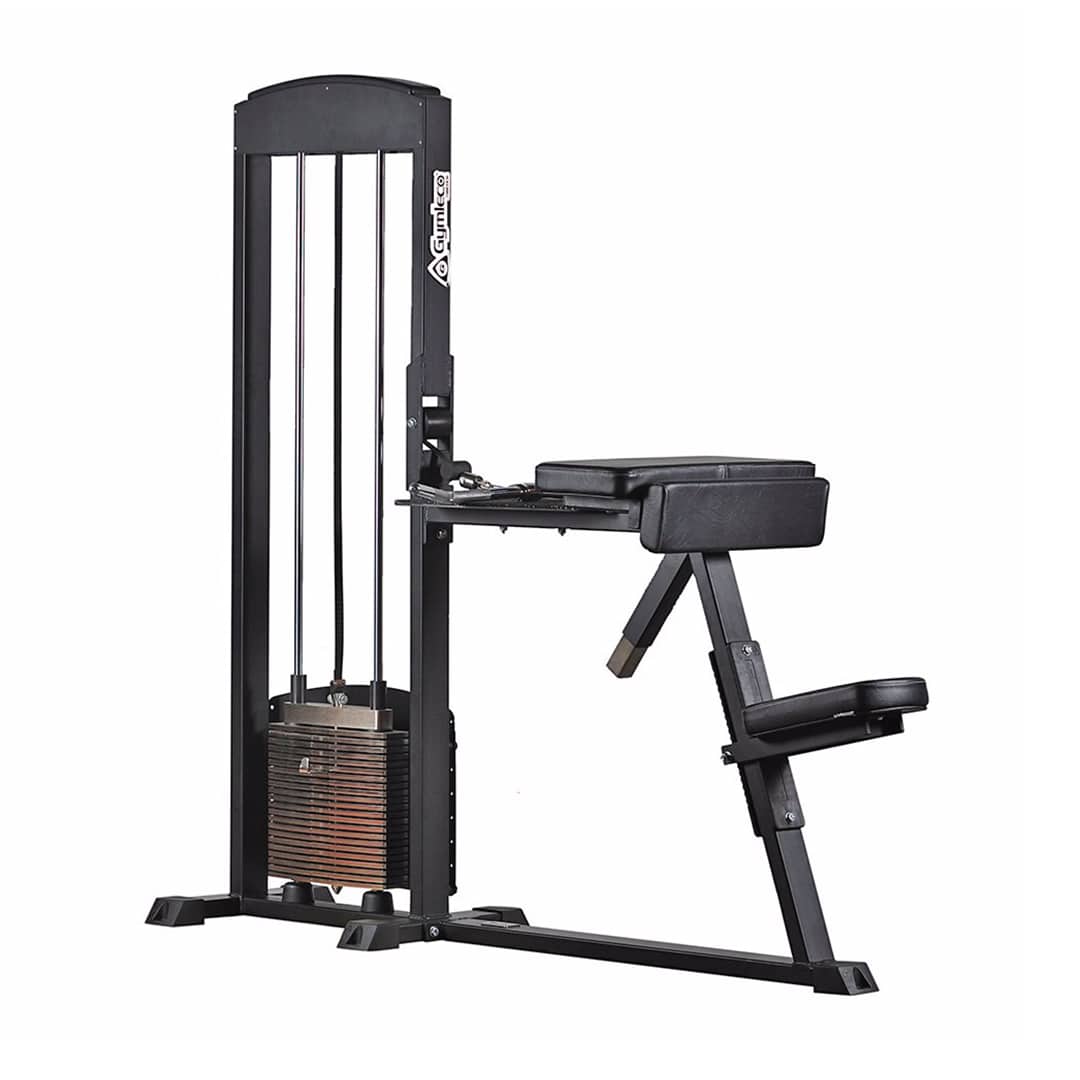 255 Biceps Curl/Triceps Extension
