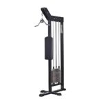 251 Triceps Pushdown